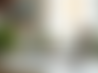 Transform Your Space with Expert Cleaning Solutions