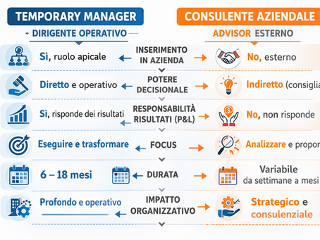 Differenze tra Temporary Manager e Consulente Aziendale: guida pratica per le aziende