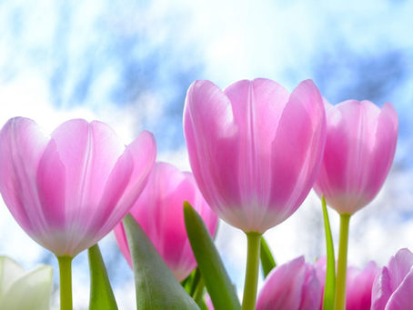 Do your moods change with the seasons?
