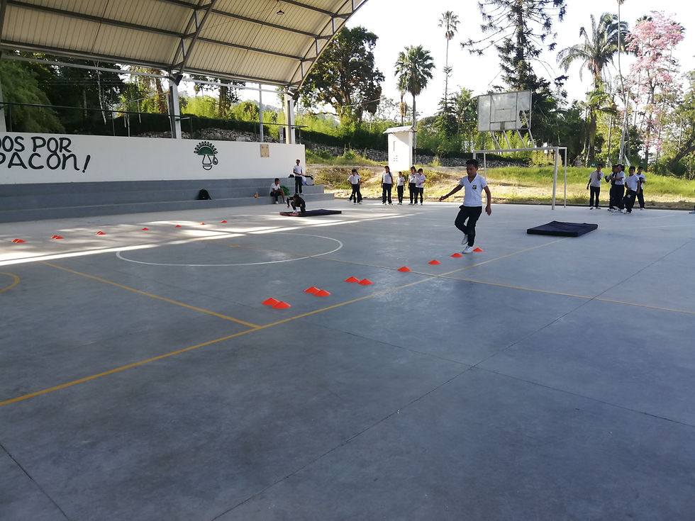 EDUFISICA