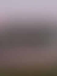 Imagen con un paisaje montañoso cubierto de neblina y flores amarillas al frente. En el centro aparece la frase “haz lo que quieras o ríndelo todo a Cristo”, acompañada del enlace www.floreceestudio.com . La imagen representa la decisión entre vivir según la propia voluntad o rendirse completamente a Dios.