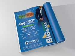 פרסום-מנטור