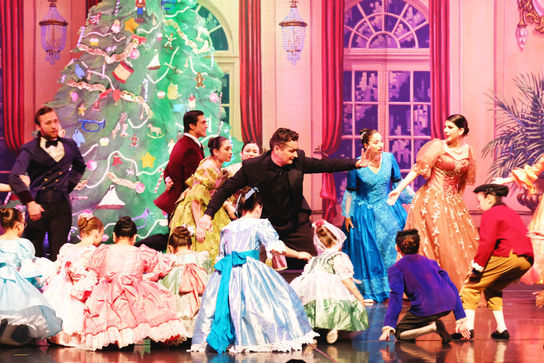 Rio Grande Valley Ballet in McAllen, Texas offers students matinee performances of The Nutcracker to all students in the Rio Grande Valley.