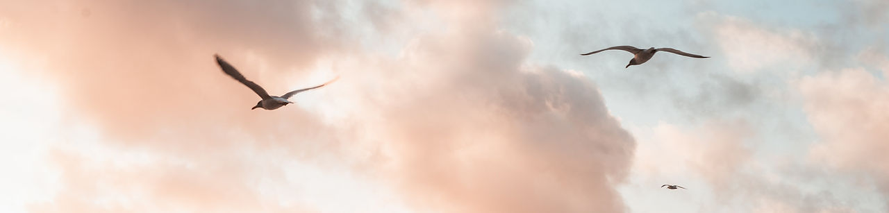 isaac-sloman-4krp67CJxN8-unsplash.jpg