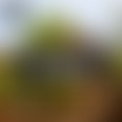 Legacy Admission Is Next After Supreme Court Gets Rid Of Race Based Affirmative Action