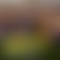 Mississippi Shortchanged Alcorn State University $257 Million In Agricultural Funds Over 30 years