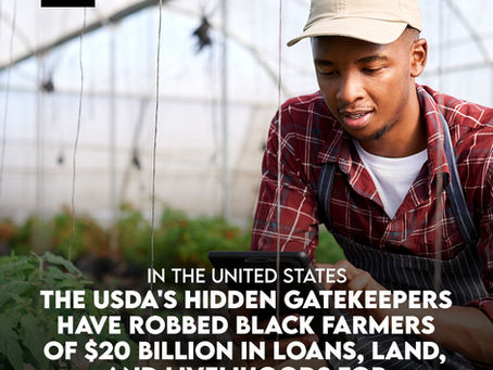The USDA's Hidden Gatekeepers Have Robbed Black Farmers of $20 Billion In Loans, Land, and Livelihoods for Nearly a Century