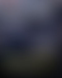 Ex-commissioner Claims NYPD Is Run Like A 'Criminal Enterprise' In Explosive New Lawsuit