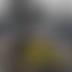 Know Your Rights Camp 2025 Wrapped