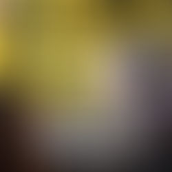 National Protests Erupt to Defend Immigrant Communities and Push Back Against Escalating Federal Power