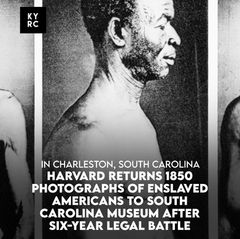 Harvard Returns 1850 Photographs of Enslaved Americans to South Carolina Museum After Six-Year Legal Battle