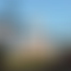 Historic Black Gravesite Victim Of Illegal DumpingÂ