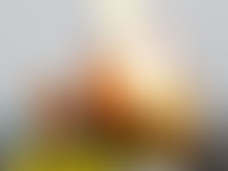 Man Rents Over 100 Books On Jewish, African American and LGBTQ+ Education From Public Library & Burns Them