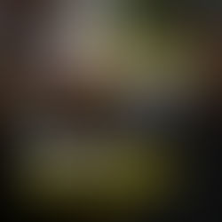 Officer Won't Be Charged For Shooting 11-Year-Old Aderrien Murry In The Chest