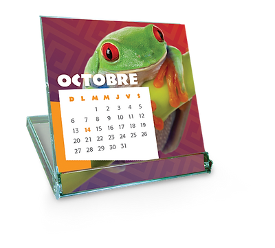 calendrier_tropical.png