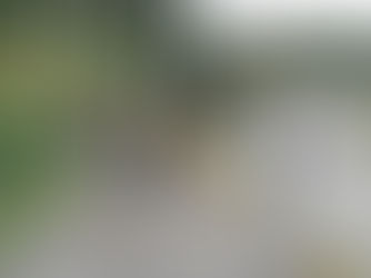 エコボラ『たいないきれい隊』を開催しました♪