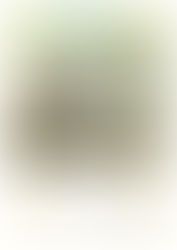 社協だより12月号を掲載しました♪