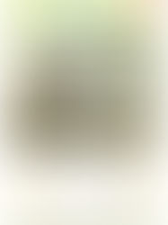 社協だより12月号を掲載しました♪