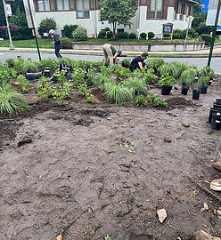 A Triumph of Will and Determination