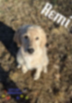 Remi