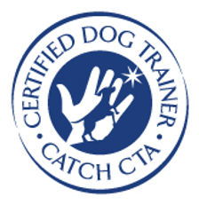 Certified Dog Trainer