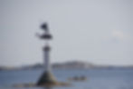 Bild över havet med en staty stående på en liten ö