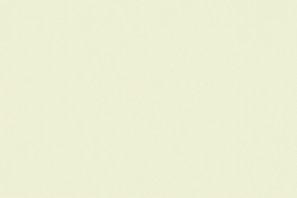 Flat pale sage-ivory background-2.png