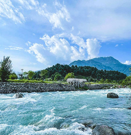Kashmir Family Trip 5 Days