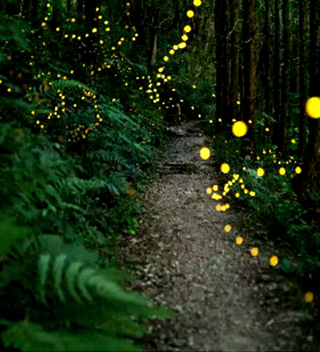 India Travel News - April 2024