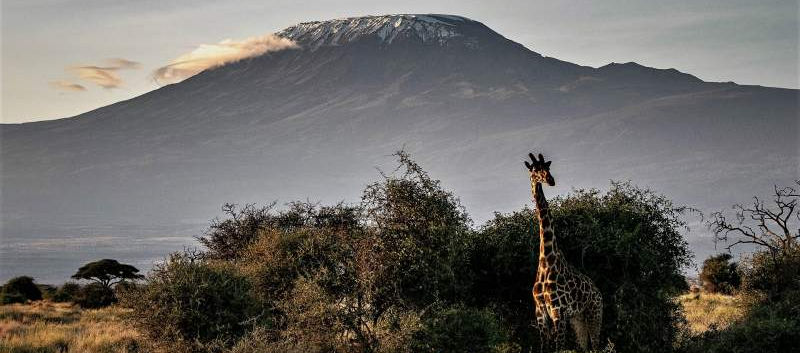Kenya Family Tour 8 Days