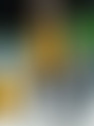 The rise of contactless travel