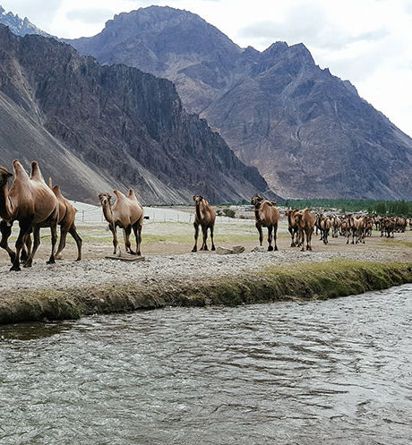 Ladakh Tour Package 6 Days