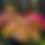 Thumbnail: DIY Floral Buckets