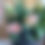 Thumbnail: DIY Floral Buckets