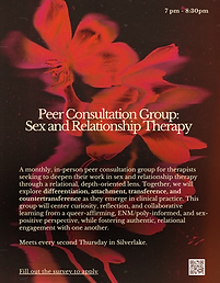 Peer consultation group-33.png