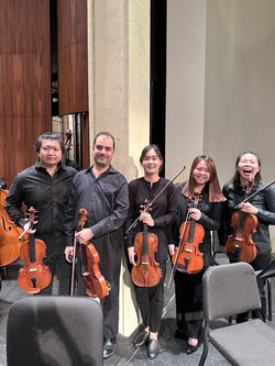 Shmuel Katz viola section