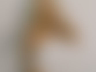 LAUV FAZ COVER DE "USED TO BE YOUNG"