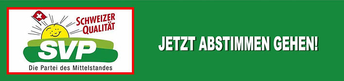 abstimmengehen.jpg