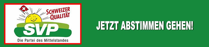 abstimmengehen.jpg