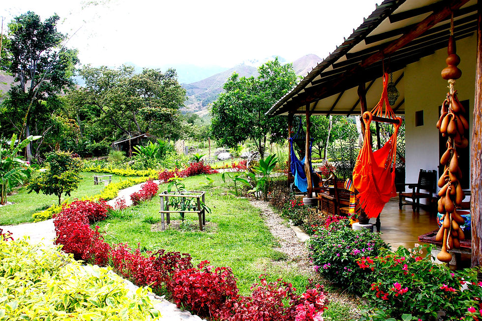 Jardín exterior