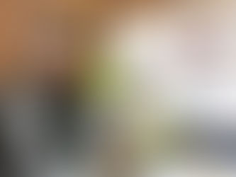 corporate photography of Arab businesswoman in modern office reviewing design catalog and smiling at camera