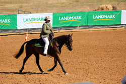 Maytown Brianna Lee HSH