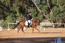 Maytown Moon River HSH