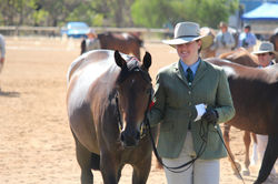 Maytown Brianna Lee HSH