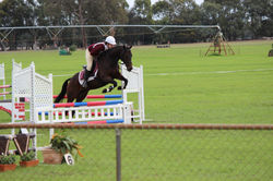 Eastlynne Pirouette HSH