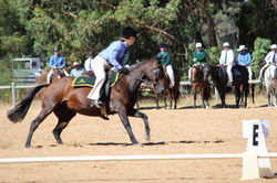 Eastlynne Pirouette HSH