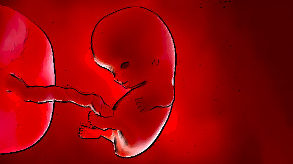 The Strength and/or Lack Thereof of the Arguments Against Legal Abortion