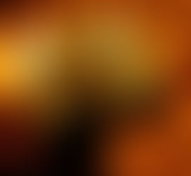 Some Rather Accurate Descriptions of the Things Around Us in the Quran.