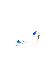 Sammelmappe1_Seite_25 (2).jpg