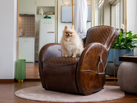 Service Apartment | Apartment O Service Apartment Properties & Rental Apartments In Hong Kong